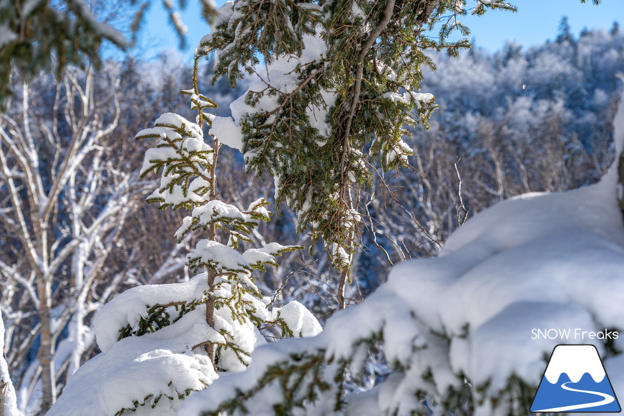 大雪山層雲峡・黒岳ロープウェイスキー場｜雪質も、景色も。やはり黒岳は別格。パウダースノーが舞う、北海道最高所にあるスキー場が営業開始！